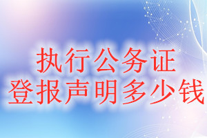 執(zhí)行公務證登報掛失多少錢